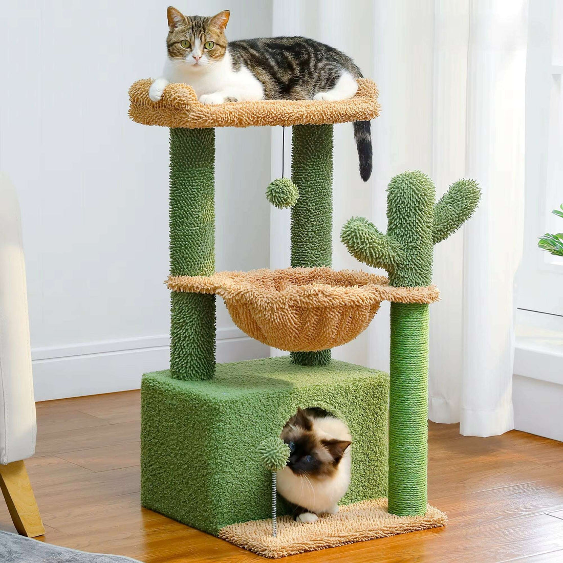 Coloris vert cactus et beige dans un salon parqueté, tabby perché en hauteur