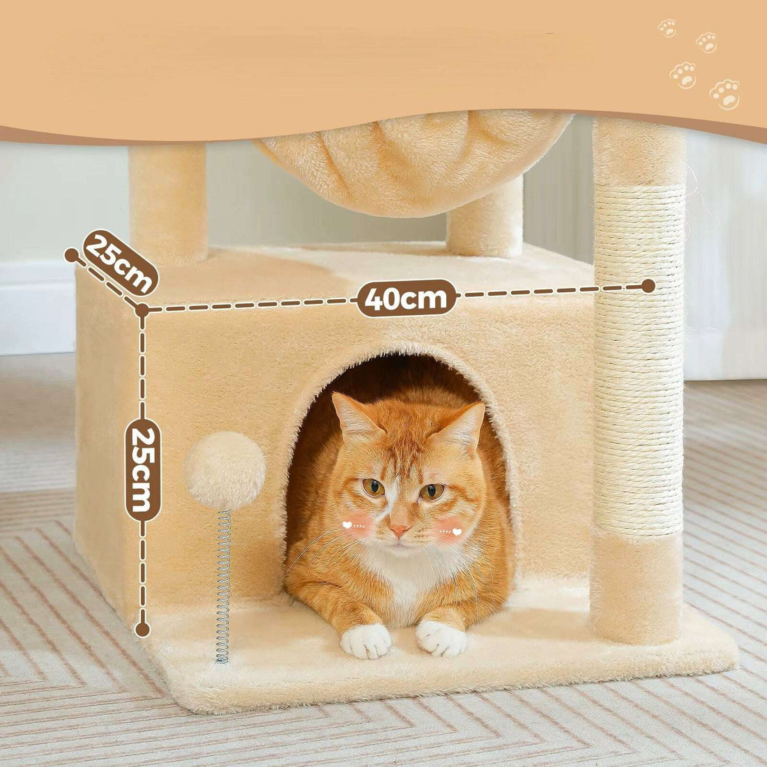 Grotte beige avec cotes annotées 40×25×25 cm, chat roux tabby blotti à l'entrée