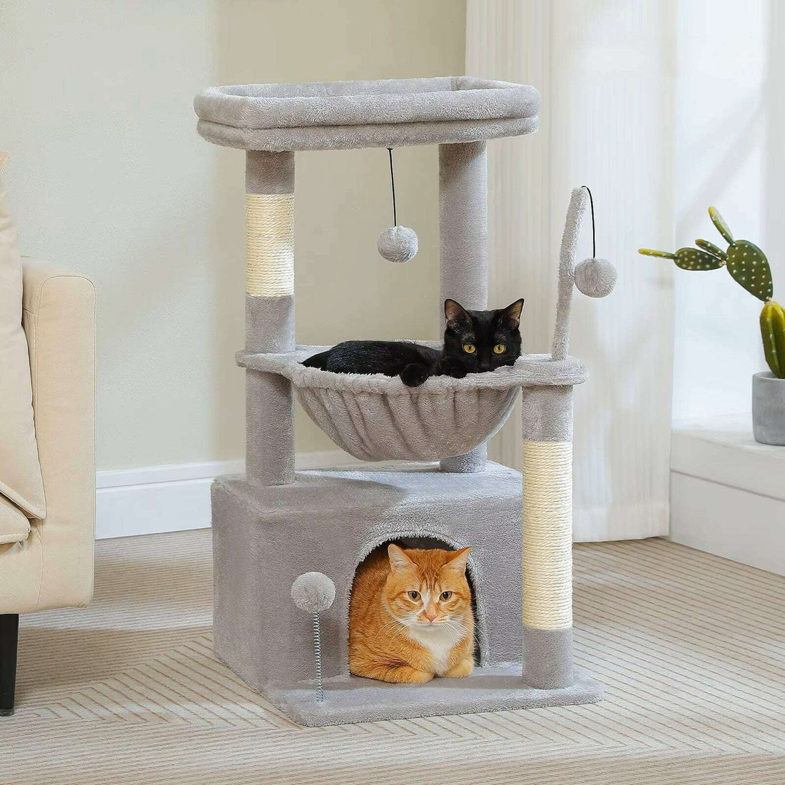 Coloris gris clair dans un salon lumineux, chat noir au hamac et chat tigré en grotte