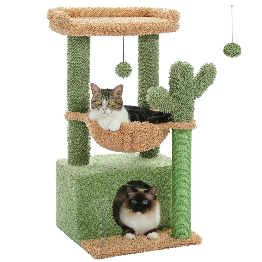 Version vert cactus et beige, fond blanc : chat tabby au hamac, birman dans la grotte