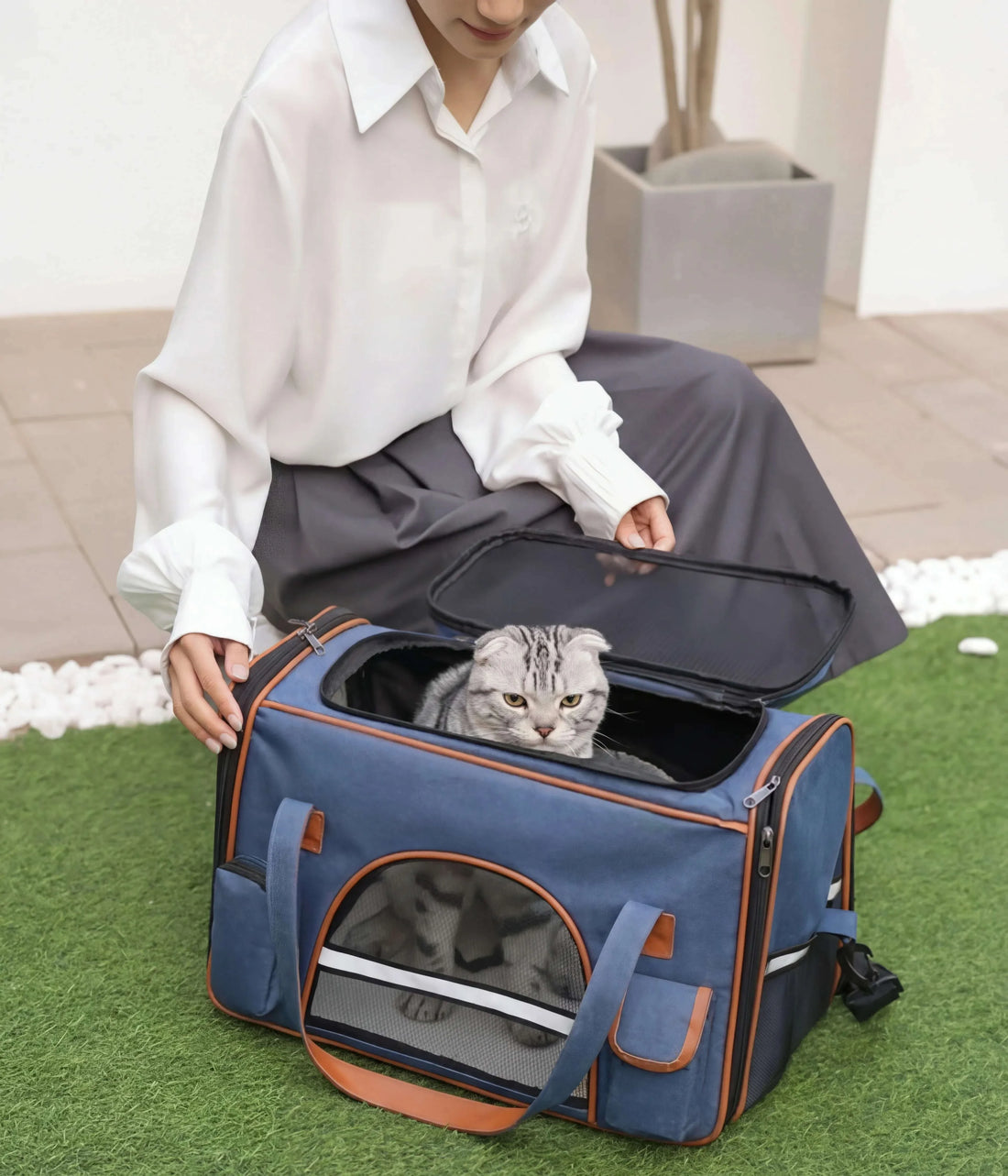 Sac de transport pour chat XXL, chat Scottish Fold gris pointant la tête par l'ouverture