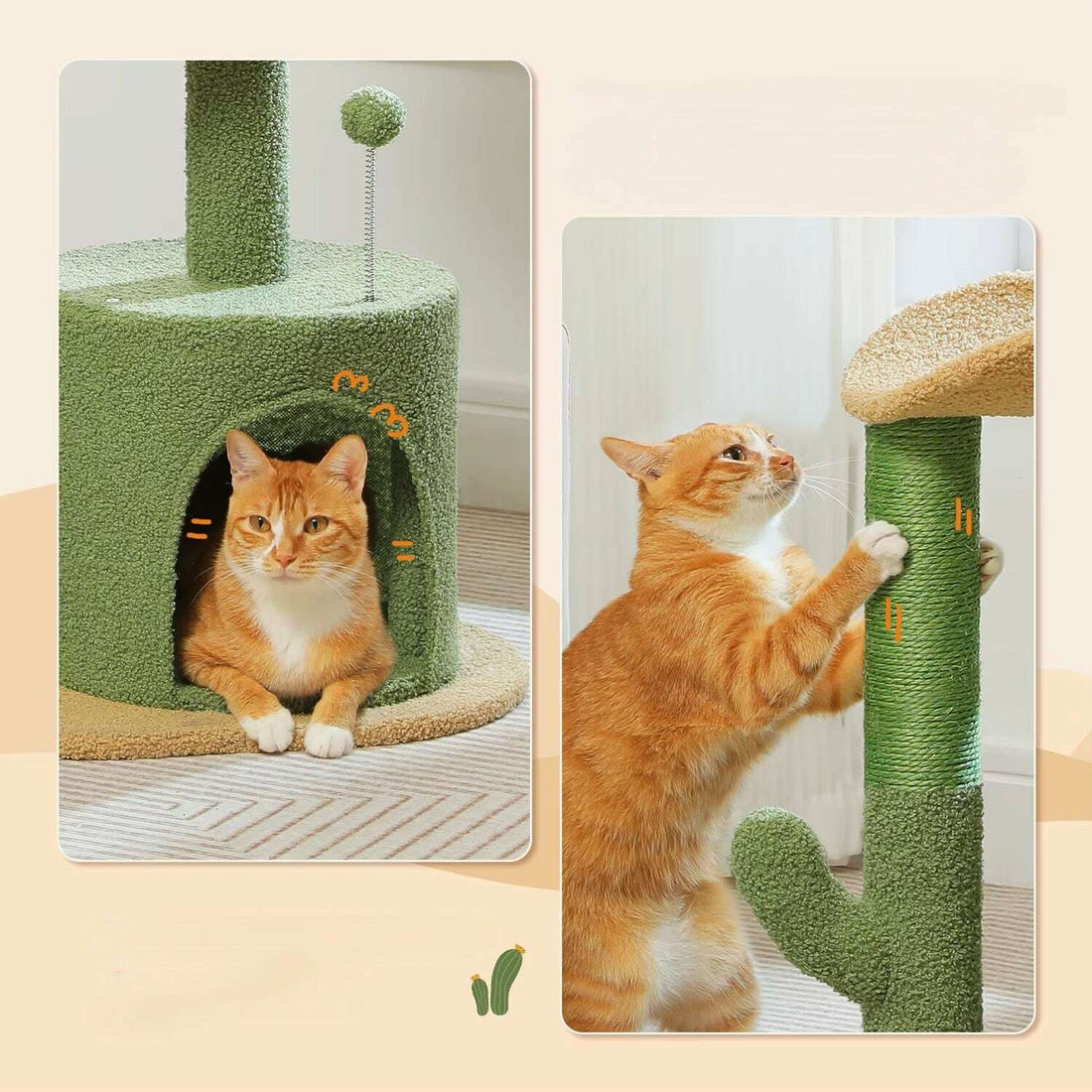 Petit arbre à chat vert, plateformes et griffoir sisal