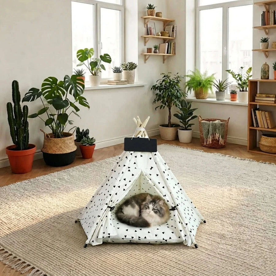 Design & style