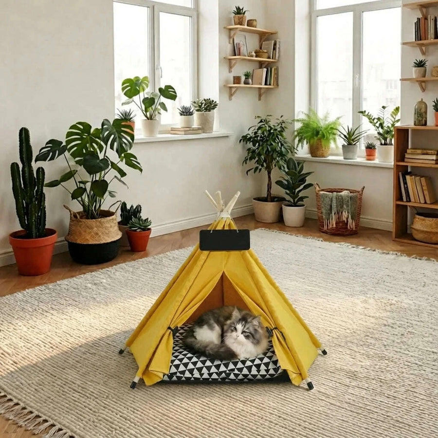 Design & style