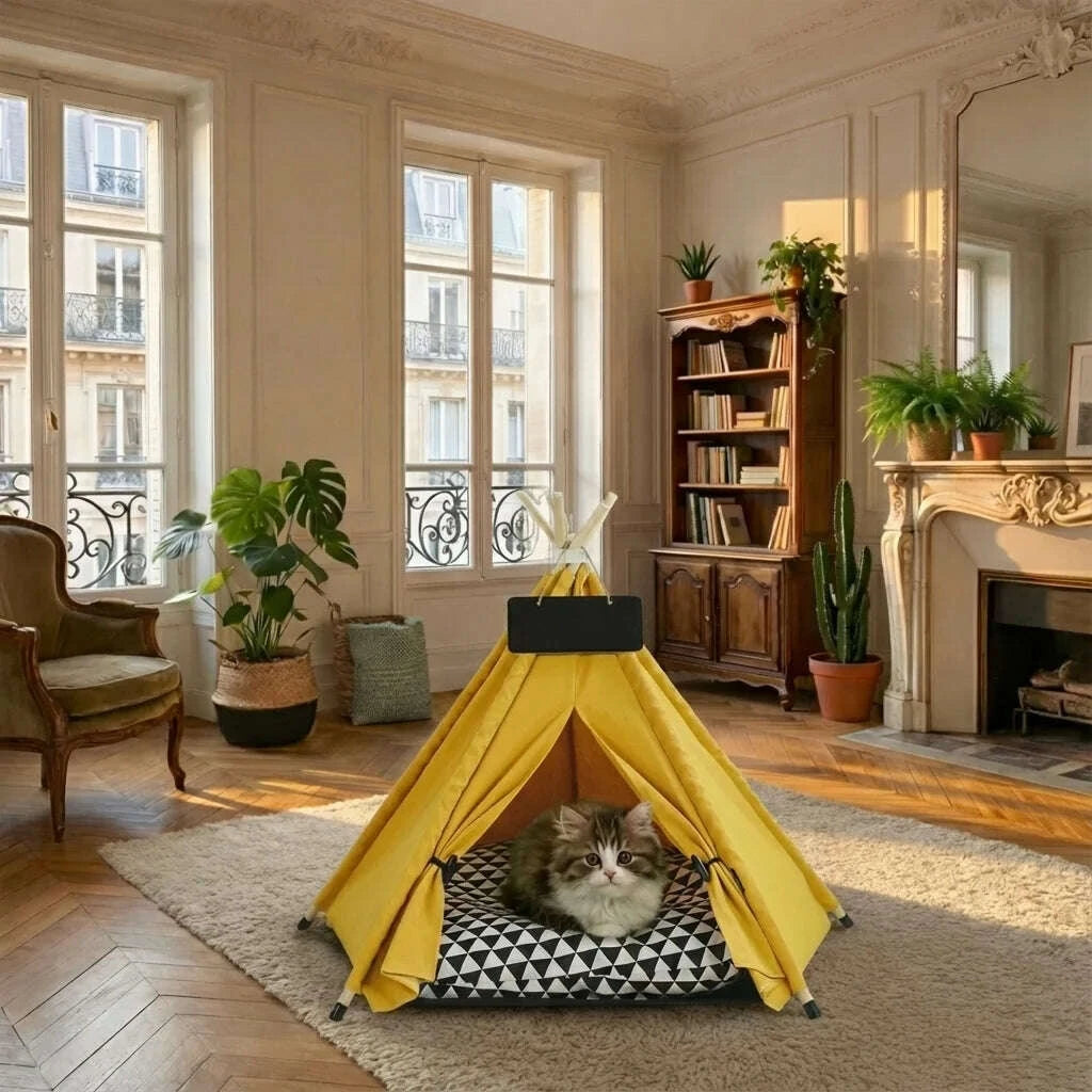 Petite tente pour chat, chat à l'intérieur